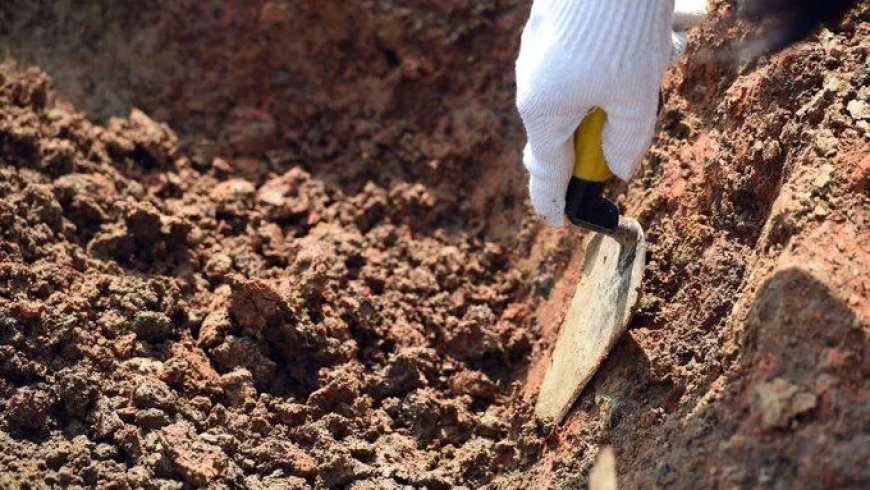 Archeologen in Georgië vinden 1,8 miljoen jaar oud menselijk kaakbeen