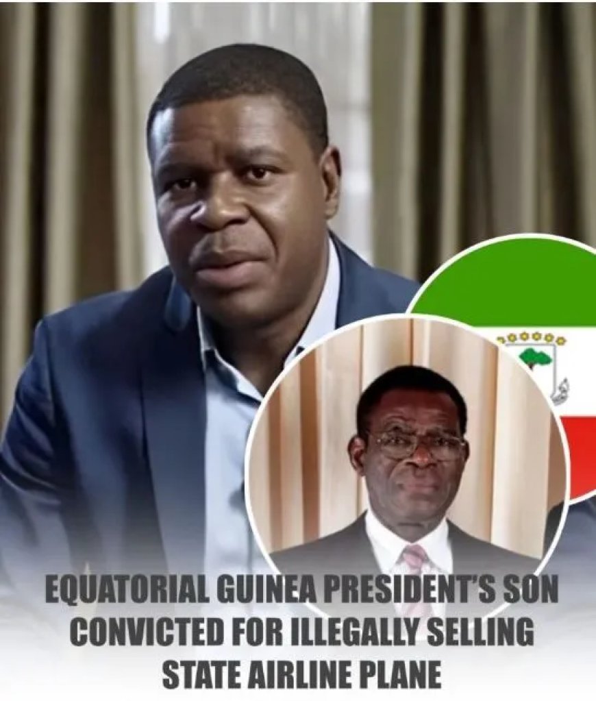 President’s zoon veroordeeld voor verkoop staatsvliegtuig