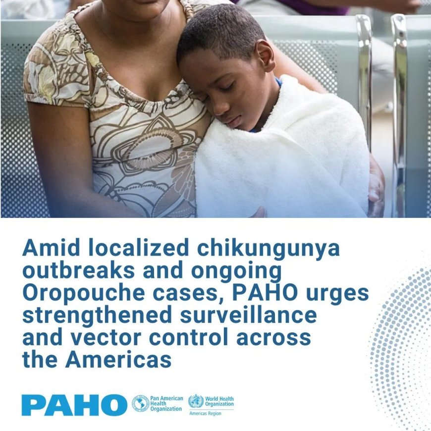 PAHO wil versterkte surveillance en vectorbestrijding in Noord- en Zuid-Amerika vanwege uitbr