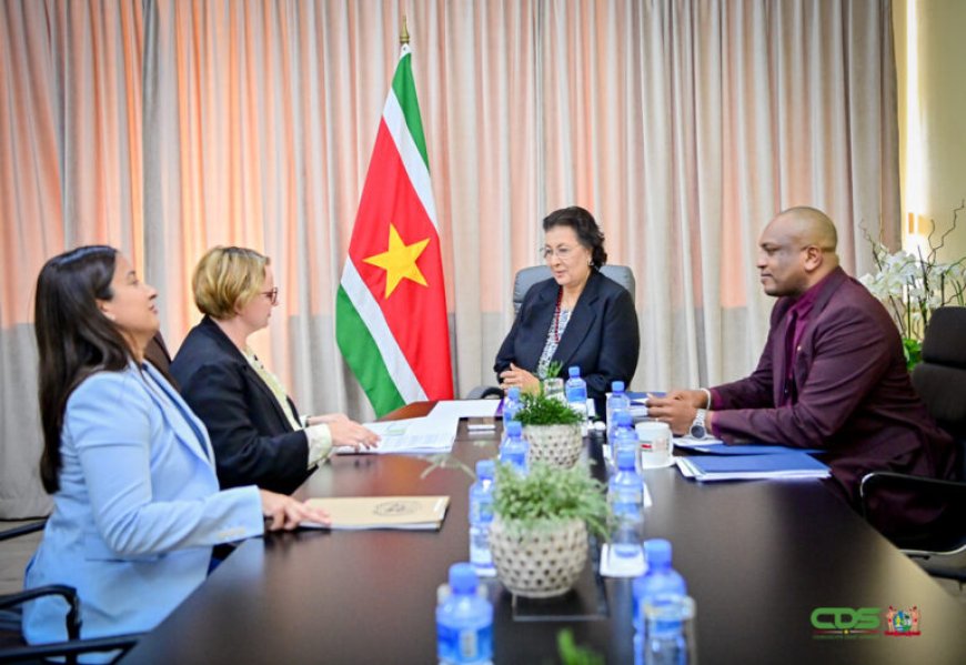 VN-functionaris Joanna Kazana voert gesprek met president Simons