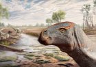 Nieuwe soort iguanodon ontdekt in Portugal 