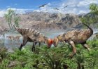 Oudste koepel-dinosaurus ontdekt in Mongolië