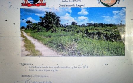 Onderzoek wijst uit dat landmeter Winter niet de schuldige is in kwestie-Reeberg