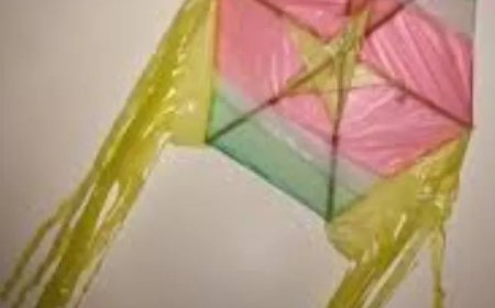 Vakantie in Suriname, maar waar zijn de vliegers gebleven?