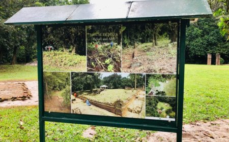 Wijngaarde: ‘Laat Jodensavanne dienen als een openluchtklaslokaal’