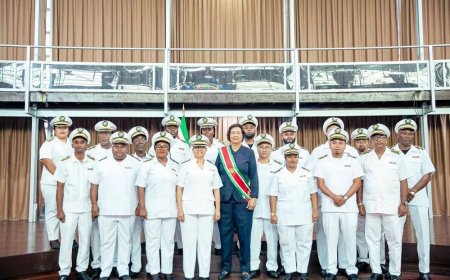 Nieuwe dc’s, nieuwe verdeling, vernieuwd districtsbestuur?