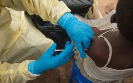 Congo roept nieuwe uitbraak ebola uit, vijftien doden tot nu toe