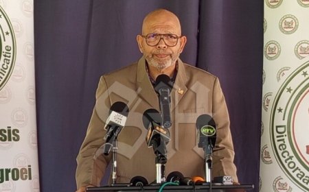 Minister Currie: “Scholenrenovatie stopt nooit, onderhoudsplanning noodzakelijk”