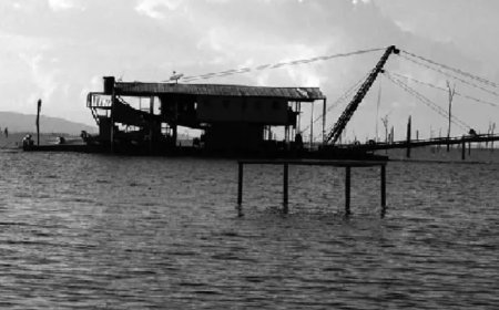 Geen scalians in rivieren; wel gereguleerde scalian activiteiten op het stuwmeer