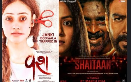 ‘Shaitaan’ met Ajay Devgn en Madhavan zorgde voor erkenning van Gujarati-film ‘Vash’