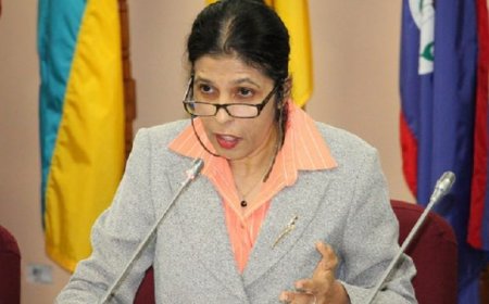 Ambassadeur Soeknandan pleit voor Caribisch Hof als derde beroepsinstantie in Suriname