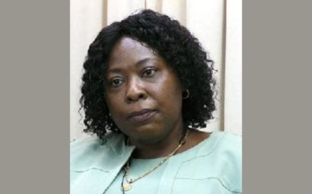 Melitia Sentilia ontheven als directeur Sozavo; Sherwien Valies neemt waar