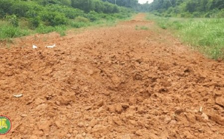 Illegale landingsbanen: veiligheidsdiensten dweilen met de kraan open