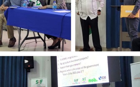 VSB-voorzitter: ‘Suriname moet terug naar sterke agrarische export’