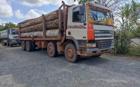 Overbeladen houttruck in beslag genomen op Welgedacht A-weg