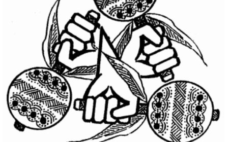 VIDS-resoluties 2025 toetsen aan recht: wat kan nú al, wat vergt wetswijziging