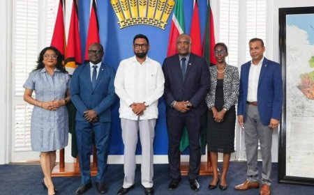 Guyanese president Ali en BIS-minister Bouva bespreken versterken vriendschappelijke banden