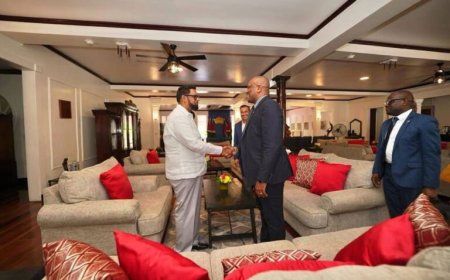 President Ali wil met Suriname praten over voortzetten bouw Corantijnbrug