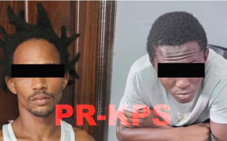 Twee 30-jarige notoire inbrekers aangehouden