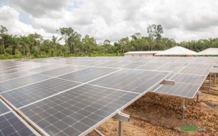 Zonnepark voorziet gebieden tussen Gengeston en Nieuw-Aurora van elektriciteit