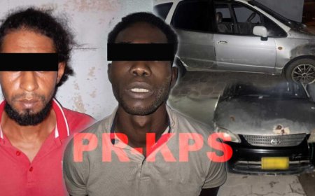 Twee diefstalverdachten aangehouden