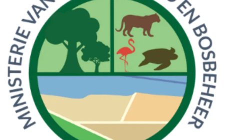 Burgers klagen over Klachtenbureau GBB: “We worden niet serieus genomen”