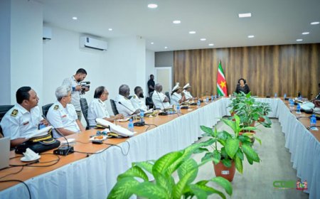 DISTRICTSRADEN EN DISTRICTSPLANNEN