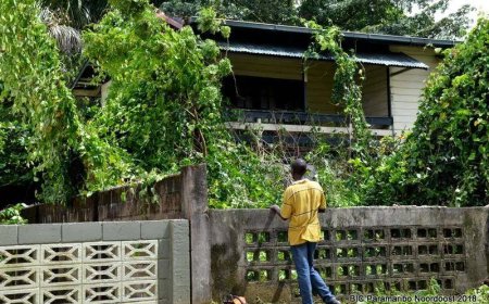 We kweken zelf ongedierte op ons erf