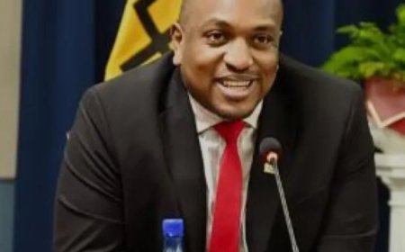 Politiek benoemde ambassadeurs krijgen contract voor duur detachering