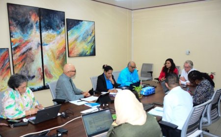 AmCham Suriname wil samen met minOWC arbeidsmarkt versterken