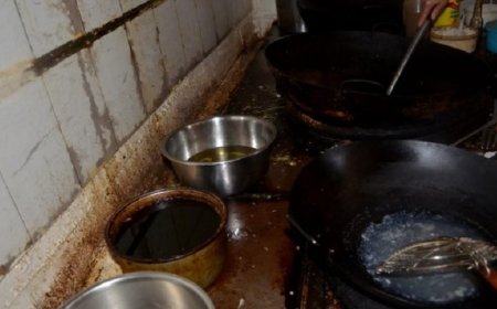 Eten tussen de kakkerlakken