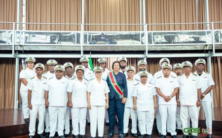 Eenentwintig dc’s voor 10 districten: efficiëntie of verwarring?