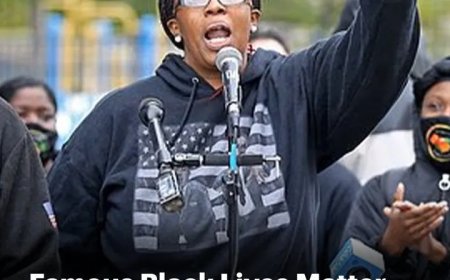 BLM-activiste Monica Cannon-Grant bekent schuld in fraudezaak