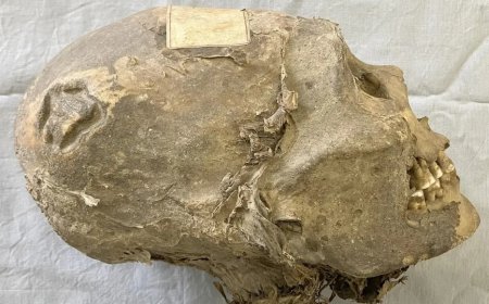 350 jaar oud gemummificeerd hoofd in Zwitserland herleid tot Aymara in Bolivia na nieuw onder