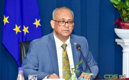 Secretaris-generaal OAS veroordeelt bendeaanval in Haïti