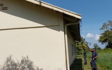 Brandweer bestrijdt bijen in Commewijne richting nieuw schooljaar