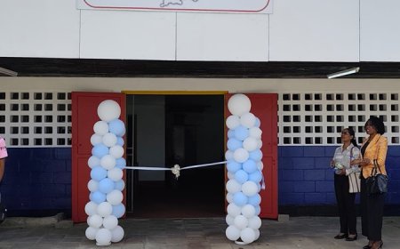 NMA: Sleutelrol koeltechnisch centrum in bescherming ozonlaag