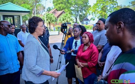 Afgevloeide Newmont-medewerkers kloppen aan bij president