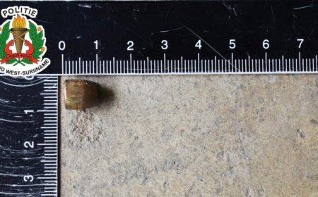 Harde knal in Nieuw-Nickerie: 55-jarige bewoner treft projectiel aan in garage