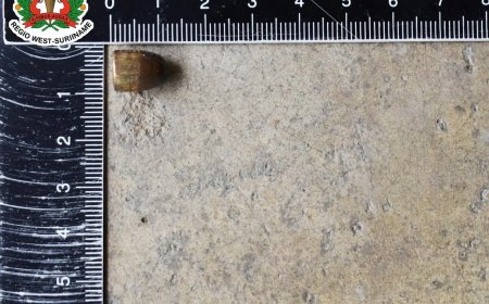 Inwoner Nieuw Nickerie vindt na harde knal in garage een projectiel