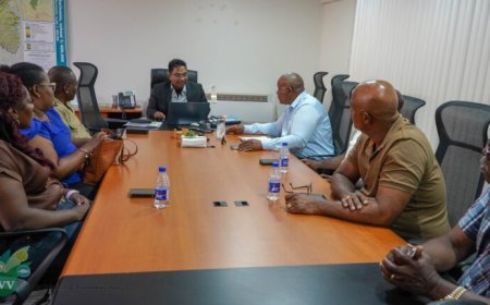 Para presenteert strategisch plan voor ananas, cassave en gember