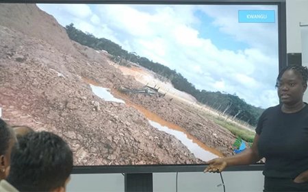 Ministers bundelen krachten tegen milieuvervuiling door goudwinning