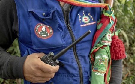 120 land- en milieuactivisten gedood of verdwenen vorig jaar in Latijns-Amerika