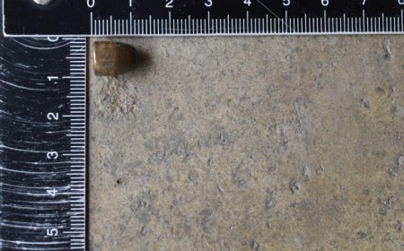 Bewoner Nieuw Nickerie ontdekt na harde knal, projectiel in garage