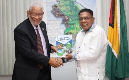 First gentleman Geerlings op uitnodiging van president Ali in Guyana