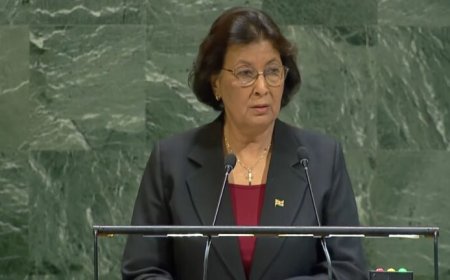 President Simons: Veiligheidsraad moet hervormd worden om wereldvrede te garanderen