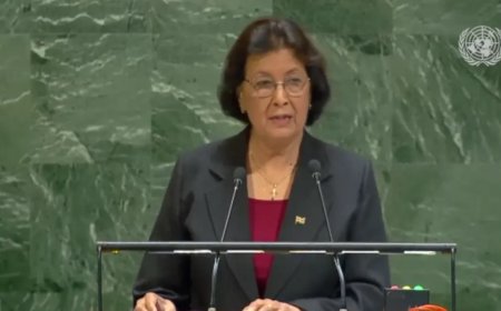 Suriname’s krachtige VN-oproep voor klimaatfinanciering