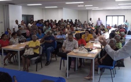 Karig pensioen motivatie inzetbaarheid gepensioneerde leerkrachten