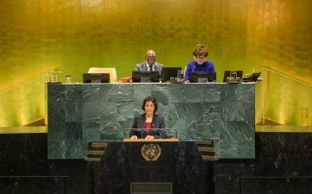 Suriname doet in VN krachtige oproep inzake klimaatverandering en –financiering