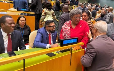 Verdachte Xaviera Jessurun gespot bij VN-top in New York